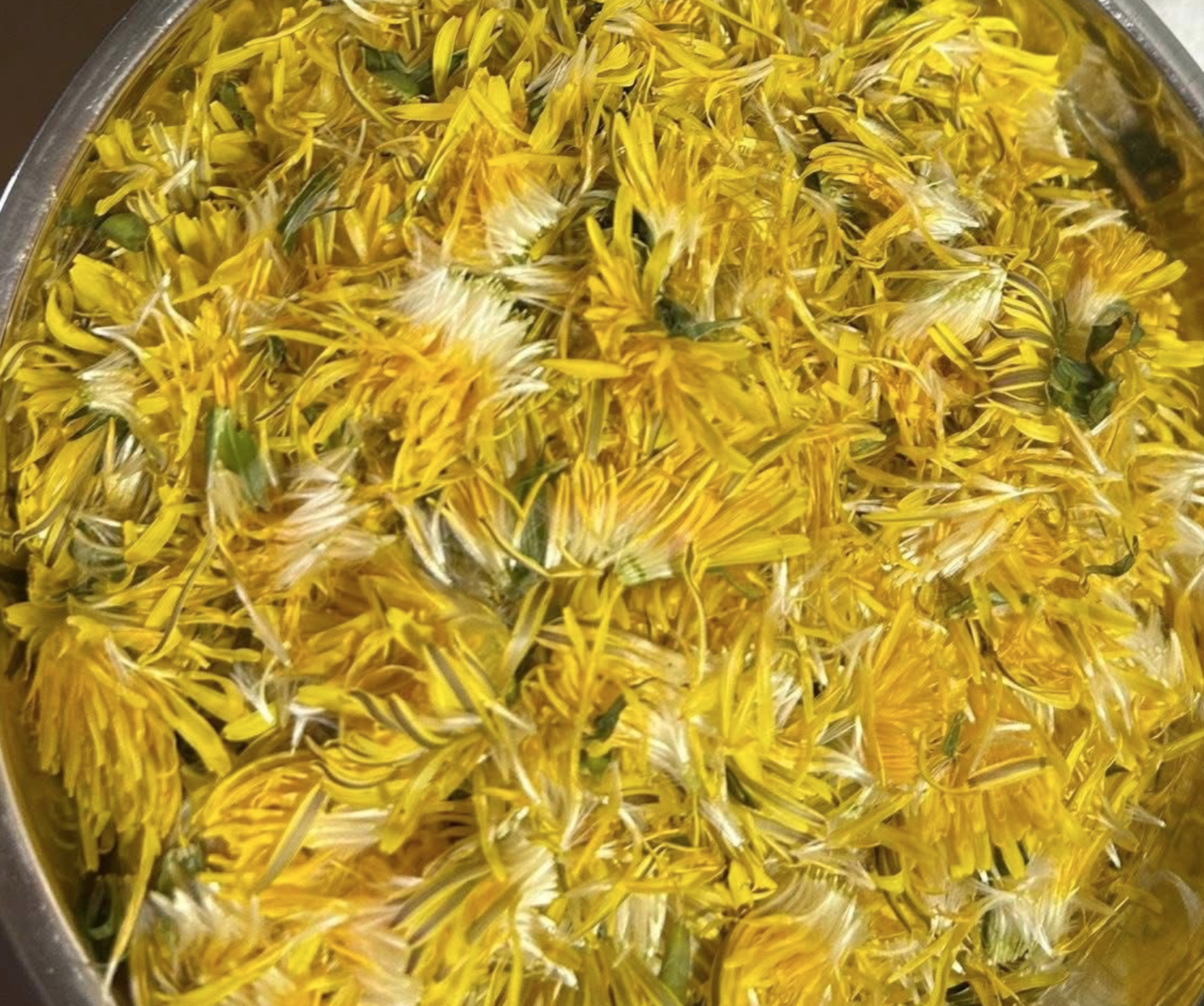 Viskas, ką norėjote žinoti apie liofilizavimą arba džiovinimą šaltyje (freeze-drying)