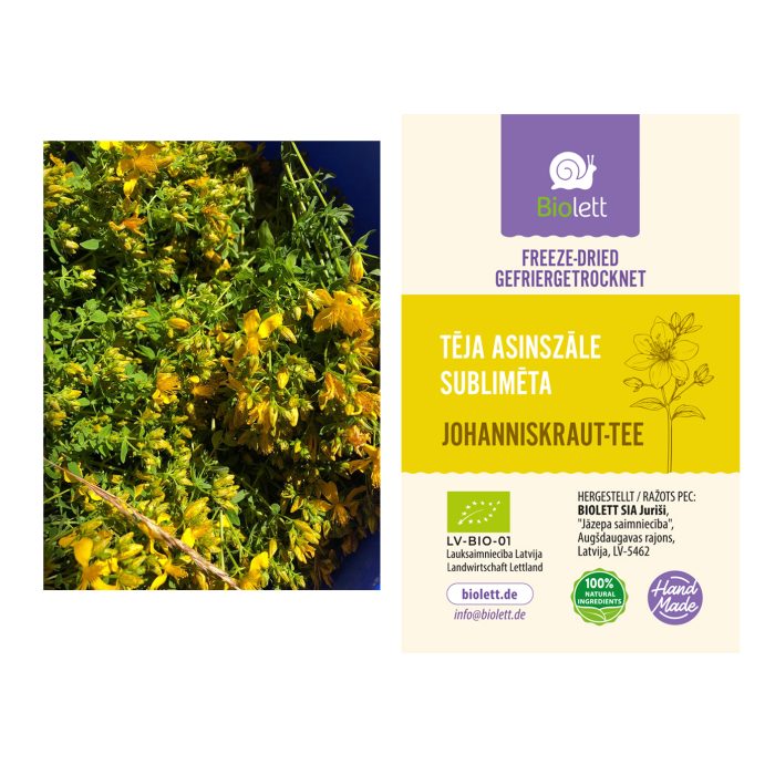 Freeze-dried-St. John’s Wort-Tea